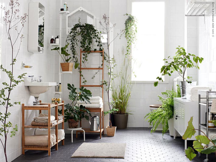растения в ванной